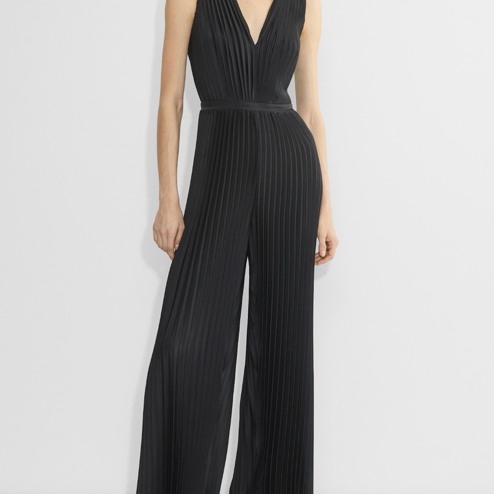 Aritzia Babaton Pleated Jumpsuit